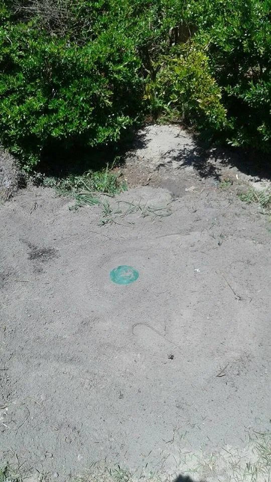 Green drain cap flush sandy soil hedge finished drywell, Sanford